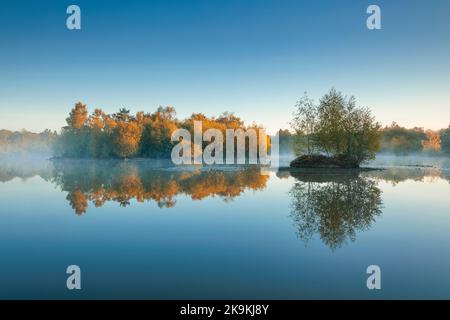 Im Besitz der Forstbehörde Woorgreens Lake in der Nähe von Cinderford. Stockfoto