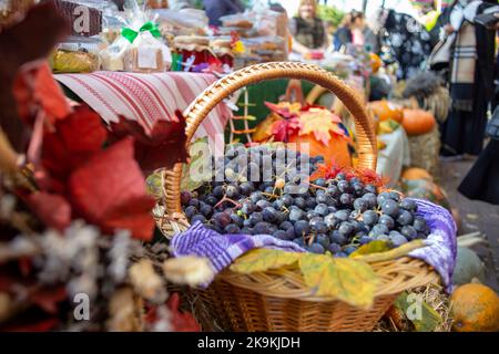 Korb voller schwarzer Trauben, auf einem Herbstmarkt Stockfoto