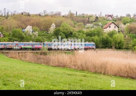 Ein alter Elektrozug fährt durch das bevölkerte Gebiet von ​​Petrovaradin, Novi Sad, Serbien. Stockfoto