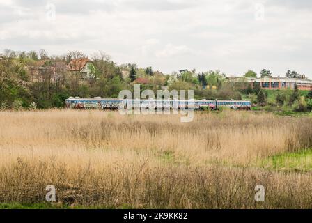 Ein alter Elektrozug fährt durch das bevölkerte Gebiet von ​​Petrovaradin, Novi Sad, Serbien. Stockfoto