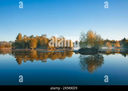 Im Besitz der Forstbehörde Woorgreens Lake in der Nähe von Cinderford. Stockfoto