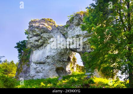 Kalksteinformation genannt Brama Suliszowicka Tor in Polen, Jura Krakowsko-Czestochowska Upland Stockfoto