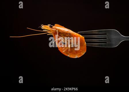 Gedämpfter Garnelendampf auf Gabel isoliert schwarzen Hintergrund Kopieplatz. Isoliert schwarzen Hintergrund Backlight hintergrundbeleuchteten Food-Konzept bereit zu essen Stockfoto