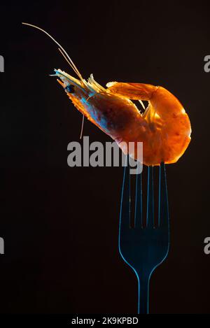 Gedämpfter Garnelendampf auf Gabel isoliert schwarzen Hintergrund Kopieplatz. Isoliert schwarzen Hintergrund Backlight hintergrundbeleuchteten Food-Konzept bereit zu essen Stockfoto