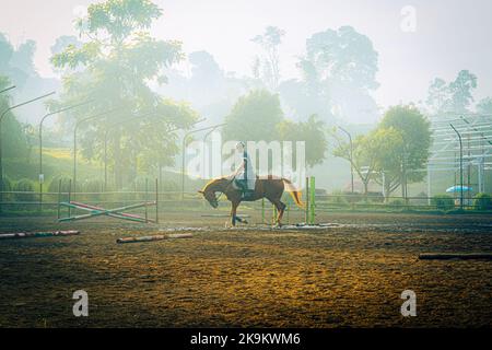 Dieses Foto wurde mit einer professionellen Drohnen-Kamera aufgenommen, die die Schönheit der Landschaft aus einer wirklich erhöhten Perspektive einfängt. Stockfoto