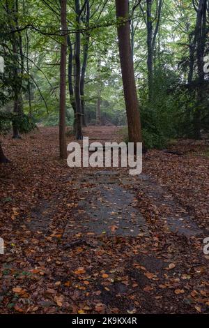 Enschede, Niederlande - 15. Okt 2022: V1 Raketen starten auf dem Gelände des De Helmer Landguts (Helmerhoek-Viertel) in Enschede. Startrichtung in Richtung Stockfoto