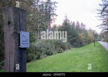 Zwiggelte, Niederlande - 18. Oktober 2022: Westerbork war ein Nazi-Durchgangslager in der Provinz Drenthe. Anne Frank und Etty Hillesum wurden von ihm transportiert Stockfoto