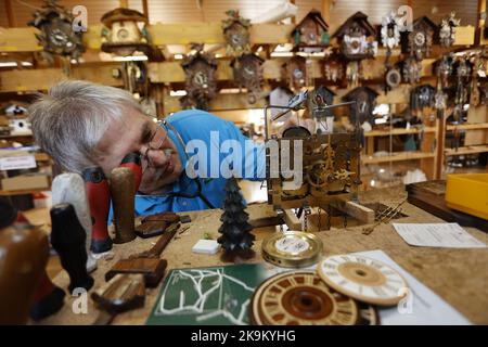 28. Oktober 2022, Sachsen-Anhalt, Gernrode: Uhrmachermeister Uwe Bergmann überprüft in den Museumsräumen der ehemaligen Harzer Uhrenfabrik in Gernrode das Uhrwerk einer Kuckucksuhr mit Stethoskop. Rund 300 verschiedene Kuckucksuhren und weitere Exponate werden hier auf 800 Quadratmetern präsentiert. Das Uhrenmuseum verfügt auch über einen Werkstattbereich, in dem Kuckucksuhren und auch andere Uhrwerke fachmännisch repariert werden. Hauptattraktion des Museums ist die größte Kuckucksuhr außerhalb des Schwarzwaldes mit einer Höhe von 14,50 Metern. Am letzten Sonntag im Oktober beginnt die sogenannte Winterzeit. Im Stockfoto