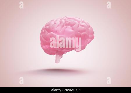 Menschliches Gehirn auf rosa Hintergrund - 3D Rendering Stockfoto