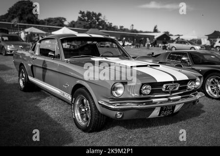 1965 Ford Mustang 289 Fastback, ausgestellt auf der Race Day Airshow in Shuttleworth am 2.. Oktober 2022 Stockfoto