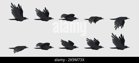 Krähenflug-Sequenz. Schwarz fliegende Rabe Silhouette, schwarz Vogel Flügel bewegen für Animation Frame-Sequenzen 2D Gaming-Asset. Vektor-isolierter Satz Stock Vektor