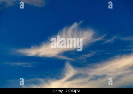 Cirruswolken vor blauem Himmel Stockfoto