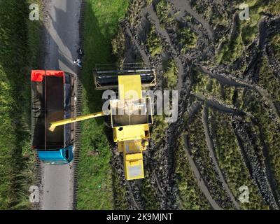 Mähdrescher das Reiskorn auf den LKW entladen.Draufsicht aus der Luft Stockfoto