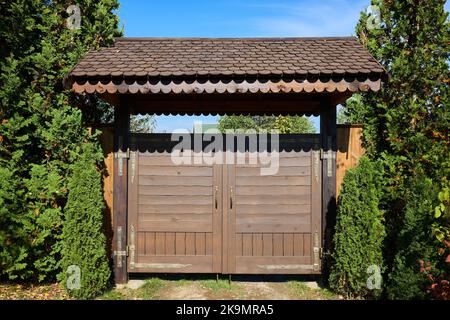 Altmodisches Holztor mit einem gekachelten Holzdach mit Schmiedeeisen mit geschmiedeten Fitting-Elementen und Thuja-Hecke. Stockfoto