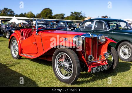 1947 MGTC Midget ‘DDN 300’ auf der Race Day Airshow in Shuttleworth am 2.. Oktober 2022 zu sehen Stockfoto