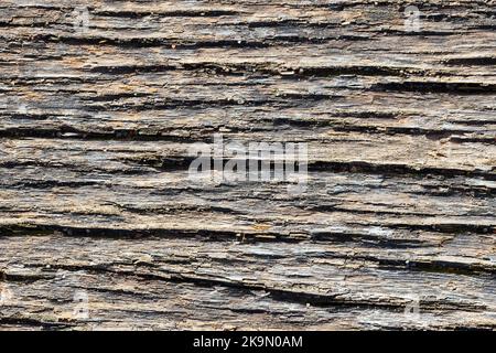 Alte graue und braune sandige verwitterte gewaschene befleckte Holzstruktur mit horizontalen Rissen jährliche Ringe und Körner von Flusssand. Nahaufnahme mit natürlicher Struktur Stockfoto