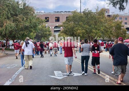 Tallahassee, Florida - 16. November 2013: Fans gehen in Richtung Doak Campbell Stadium, um ein Fußballspiel der Florida State University zu sehen. Stockfoto