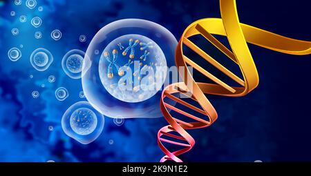 DNS-genetische Struktur und Chromosomenzellkern mit Telomer- und Doppelhelix-Konzept für eine menschliche Biologie x-Struktur, die Geninformationen enthält Stockfoto