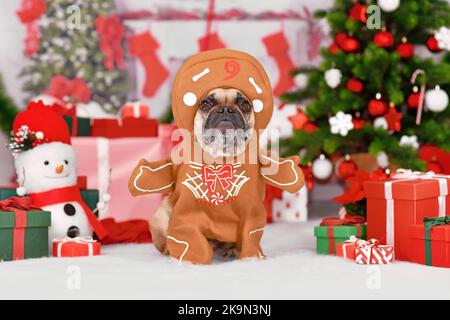 Lustige Hund Weihnachtskostüm. Französische Bulldogge in Lebkuchenoutfit mit Armen, umgeben von festlicher Dekoration Stockfoto