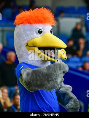 Brighton, Großbritannien. 29.. Oktober 2022. Während des Premier League-Spiels zwischen Brighton & Hove Albion und Chelsea im Amex am 29. 2022. Oktober in Brighton, England. (Foto von Jeff Mood/phcimages.com) Quelle: PHC Images/Alamy Live News Stockfoto