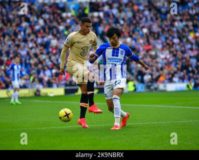 Brighton, Großbritannien. 29.. Oktober 2022. Während des Premier League-Spiels zwischen Brighton & Hove Albion und Chelsea im Amex am 29. 2022. Oktober in Brighton, England. (Foto von Jeff Mood/phcimages.com) Quelle: PHC Images/Alamy Live News Stockfoto