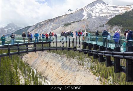 Columbia Ice Field Sky Walk, Kanada Stockfoto