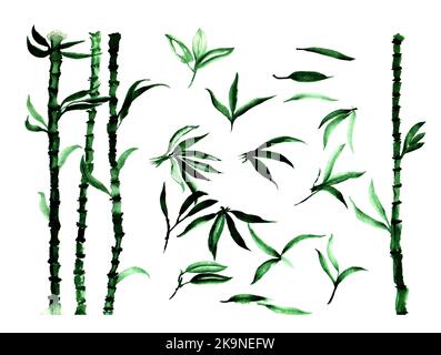 Handbemalte Aquarell-Illustration von Bambusblättern und Pflanzen Stockfoto
