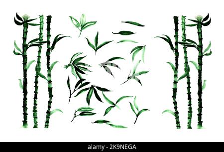 Handbemalte Aquarell-Illustration von Bambusblättern und Pflanzen Stockfoto