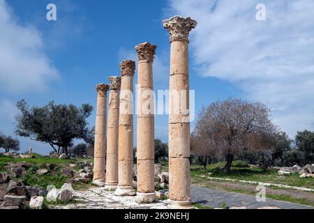 Römische Säulen Umm Qais (Gadara) Jordanien 2 Stockfoto