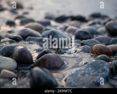 Kieselsteine an der Küste aus der Nähe. Felsiger Strand. Steine Nahaufnahme mit Bokeh. Grauer natürlicher Hintergrund. Das Konzept der Erholung an der Küste. The Velvet se Stockfoto