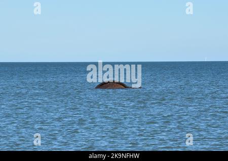 Ruhiges Meer, das einen Teil des Wracks der SS Vera zeigt, das nach einer Kollision im Jahr 1914 in der Nähe des Strandes von Cley neben dem Meer, Norfolk, England, Großbritannien, sank Stockfoto