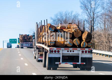 Industrielle Schwerlast-LKW-Anhänger Schlepper liefert Holz auf der Autobahn Straße in Lynchburg, Virginia ländlichen Landschaft Stockfoto