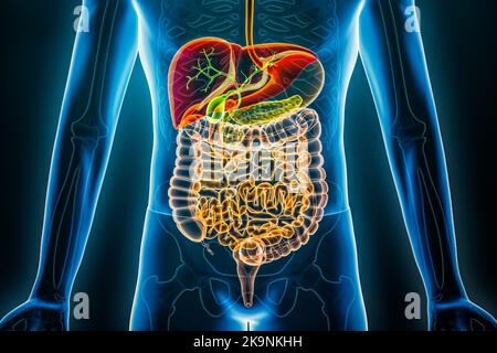 Röntgenaufnahme des menschlichen Verdauungssystems. Organe des Magen-Darm-Traktes 3D Darstellung. Anatomie, Medizin, Biologie, Wissenschaft, Gesundheitskonzepte. Stockfoto
