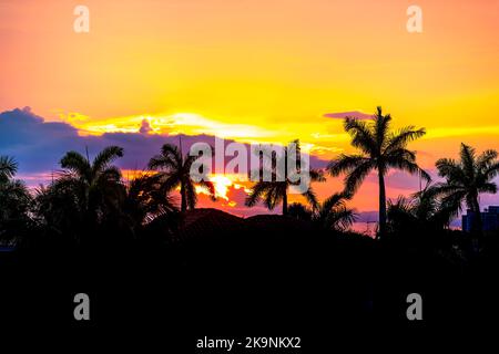 Hollywood Beach in North Miami, Florida Blick auf die Villen Häuser bei wunderschönen lila orange leuchtenden Sonnenuntergang mit Palmen in dunkler Silhouette Nahaufnahme Stockfoto