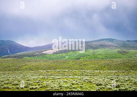 Flacher Berg am Mount Crested Butte Ski Resort Town, Colorado mit alpinen Wiesen und einer hohen Wüstenlandschaft im Sommer bei Regen Stockfoto