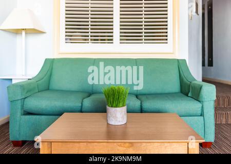 Grüne Topfpflanze in Topf auf Holztisch Schreibtisch und Sofa im Wohnzimmer mit weißer Wand und Lampe in minimalistisch inszenierten Modell Haus Interieur Stockfoto