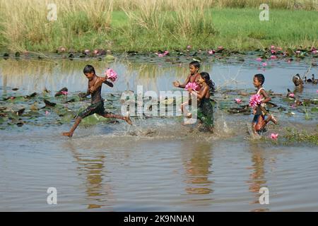 Sylhet, Sylhet, Bangladesch. 28. Oktober 2022. Kinder sammeln Rote Seerosen Blumen vom nächsten See für den Verkauf an Touristen in Jaintapur Yeambill Haor von Sylhet, Bangladesch. Yeambill Haor ist als das Königreich der roten Seerose für Reisende bekannt. (Bild: © MD Akbar Ali/ZUMA Press Wire) Stockfoto