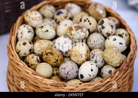 Wachteleier im Korbkorb Stockfoto