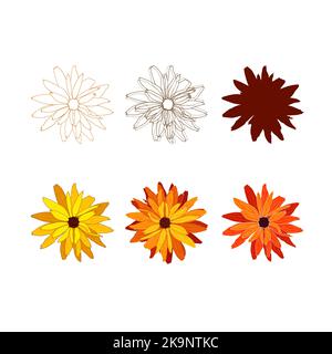 Satz von botanischen Elementen. Hand gezeichnet verschiedenen Stil Vektor rudbeckia Blumen. Farbige und skizzierte florale Details. Stock Vektor