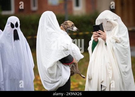 Manchester, Großbritannien. 29. Oktober 2022. Weltrekordversuch als Anzahl von Menschen, die als Geister gekleidet sind, im Platt Fields Park in Manchester. Der von Paranormal Rescue initiierte Versuch brachte Geld für die Hunde-Wohltätigkeitsorganisation Greyhound Gap ein. Der Versuch blieb hinter dem Weltrekord zurück, den die Organisatoren wegen des schlechten Wetters und der kürzlichen Stiche in der Nähe von Studentenunterkünften im Owens Park Studentenunterkünften in Fallowfield verantwortlich machten. Kredit: GaryRobertsphotography/Alamy Live Nachrichten Stockfoto