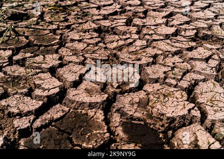 Trockenland, das unter Dürre leidet. Auswirkungen des Klimawandels wie Wüstenbildung und Dürren. Konzept der globalen Erwärmung und des Treibhauseffekts. Wasser Stockfoto