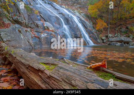 Wasserfälle und Wanderwege im Shenandoah National Park Stockfoto