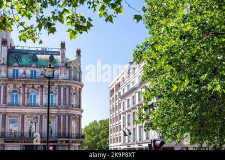 London, Großbritannien - 22. Juni 2018: Umrahmter Blick auf die grünen Bäume am Trafalgar Square, Cockspur Street mit Admiralty Pub, Dachhotel Stockfoto