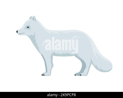 Arktischer Fuchs. Vektor-Illustration eines flauschigen Polarfuchses, der auf Weiß isoliert ist. Flaches Design, Seitenansicht. Stock Vektor