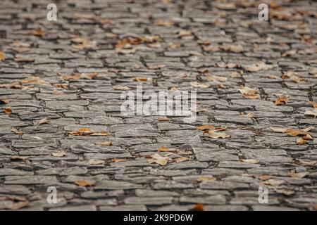 Gefallene Blätter auf dem Bürgersteig aus Stein. Herbstlaub fällt im Park. Gelbe Blätter auf dem Bürgersteig. Gehen Sie durch die Herbststraße. Herbst Hintergrund. Stockfoto