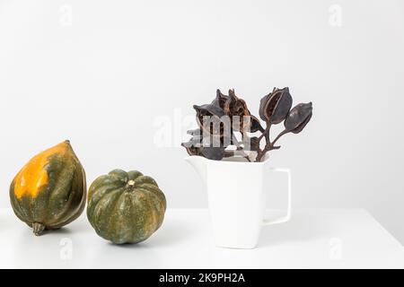 Natürliche kleine Kürbisse sind auf einem weißen Tisch, Halloween-Dekorationen. Stockfoto