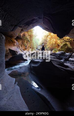 Abenteuerliche Frau, die in einer Höhle steht. Abenteuer Reisen. Little Huson Caves Park Stockfoto