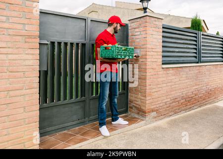 Junger erwachsener Mann hält frische Bio-Lebensmittel in der Box liefern an den Kunden Stockfoto