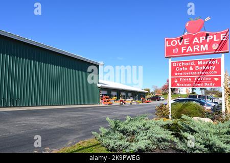 GENT, NEW YORK - 19 Okt 2022: Love Apple Farm ist eine 80 Hektar große Farm, die auch Brombeeren, Blaubeeren, Kirschen, Stachelbeeren, Pfirsiche, p Stockfoto