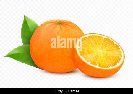 Ganze und schneiden Orangen Früchte mit Blättern isoliert auf weißem Hintergrund. Realistische 3D-Vektor-Illustration. Stock Vektor